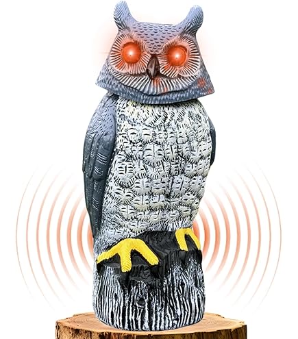 Amazon.com: Owlsome Solar Owl with Glowing Eyes, Rotating Head